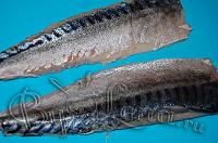 Домашняя селеодка (Слабосоленая скумбрия) - Шаг 11